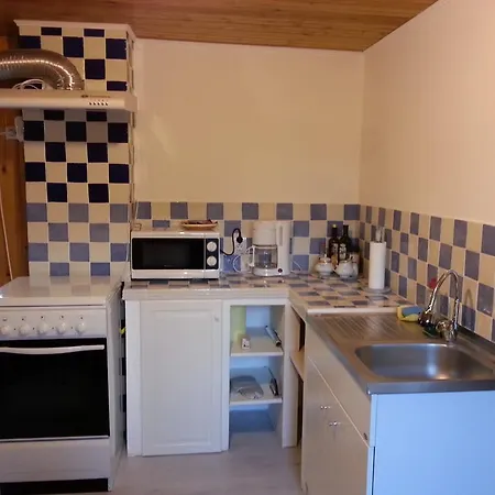 Lelia Residence Apartments Brasov Room photo