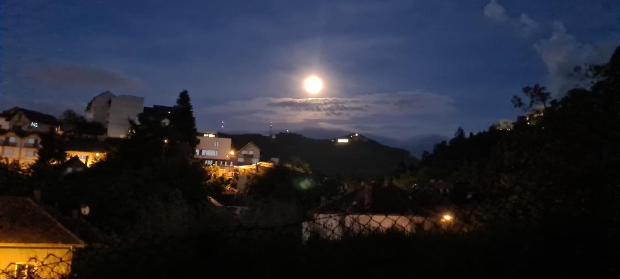 Lelia Brasov
