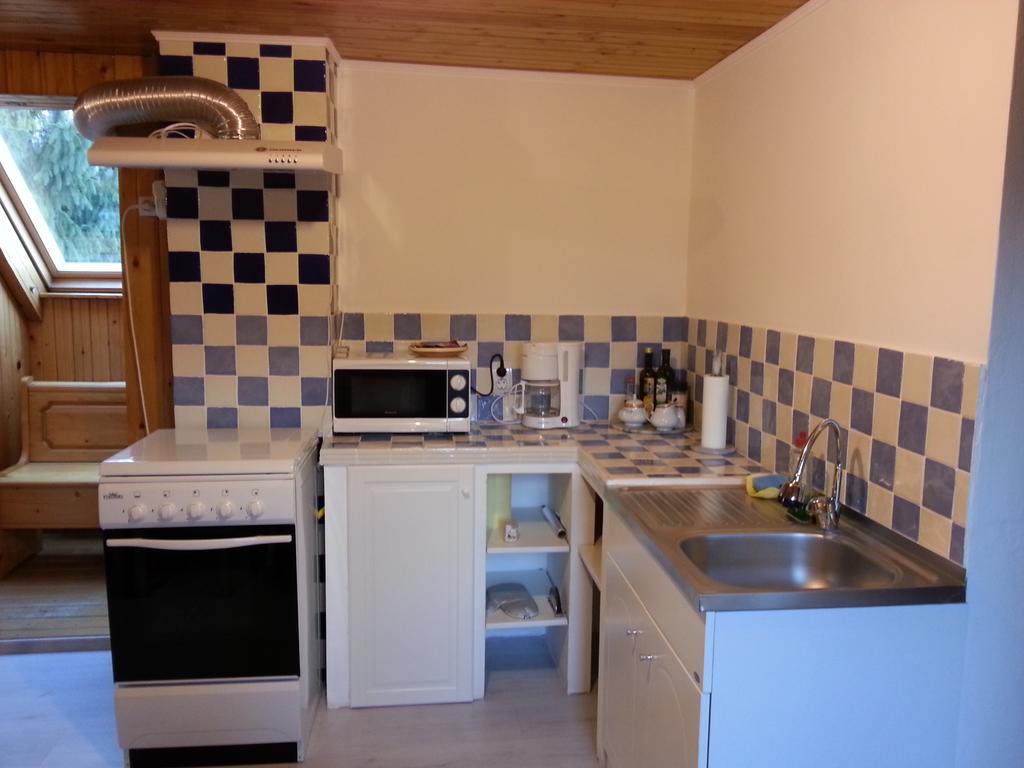 Lelia Apartamento Braşov